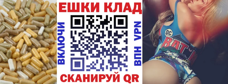 ЭКСТАЗИ круглые купить сайты Безенчук