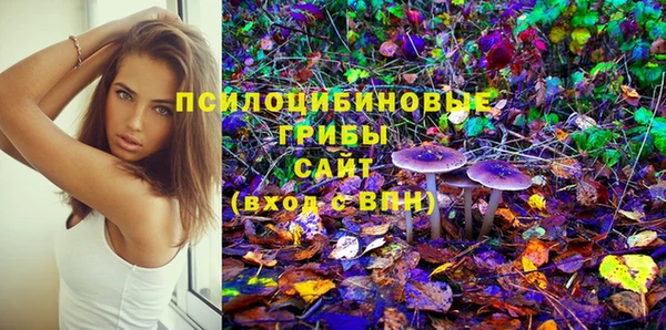 соль ск Михайловск