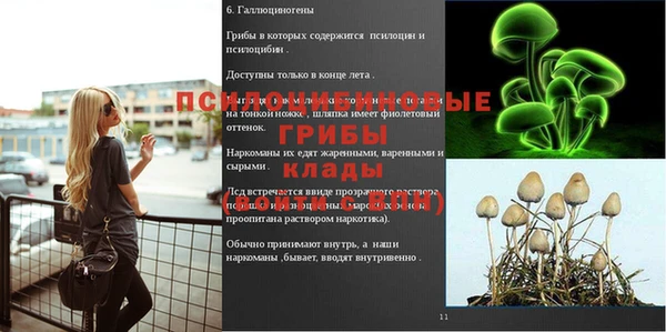 героин Михайлов