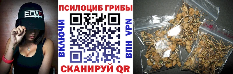 Галлюциногенные грибы ЛСД Безенчук